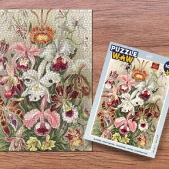 PuzzleWow Puzzel Bloemen - Ernst Haeckel - Vintage - Orchidee - Legpuzzel - Puzzel 1000 Stukjes Volwassenen - Sinterklaas Cadeautjes - Sinterklaas Voor Grote Kinderen -Puzzels Verkoop 550x366 33