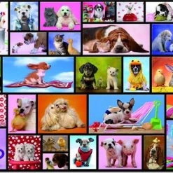 Educa Grappige Dieren - 1000 Stukjes -Puzzels Verkoop 550x379 3