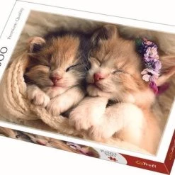 Trefl Slapende Katjes Puzzel - 500 Stukjes 7 Trefl Slapende Katjes Puzzel - 500 Stukjes -Puzzels Verkoop 550x392 17
