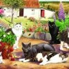 House Of Puzzles Cool Cats Puzzel 500 Stukjes XL -Puzzels Verkoop 550x392 22