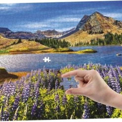 Grafix Puzzel 1000 Stukjes Volwassenen | Thema Lakeview | Afmeting 50 X 70 CM | Legpuzzel -Puzzels Verkoop 550x392 56