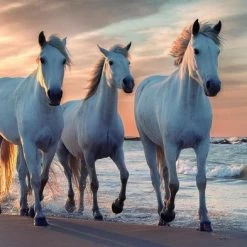 Rebo Legpuzzel - 1000 St - Horses