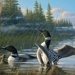Cobble Hill: Common Loons (1000) Legpuzzel
