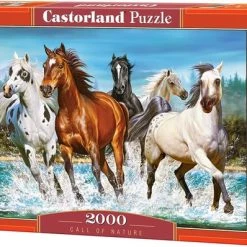 Castorland Legpuzzel Call Of Nature - 2000 Stukjes