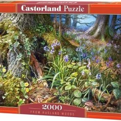 Castorland From Rusland Woods 2000 Stukjes