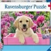 Ravensburger Puzzel Dierenfoto´s - 2x24 Stukjes - Kinderpuzzel 1 Ravensburger Puzzel Dierenfoto´s - 2x24 Stukjes - Kinderpuzzel -Puzzels Verkoop 550x401 9