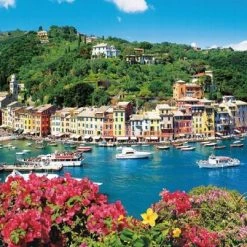 Puzzels Verkoop -Puzzels Verkoop 550x402 2