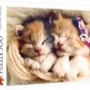 Trefl Slapende Katjes Puzzel - 500 Stukjes -Puzzels Verkoop 550x435 6