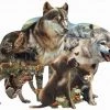 Legpuzzel - Contourpuzzel - 1000 Stukjes - Wolf Pack - Sunsout -Puzzels Verkoop 550x456 4