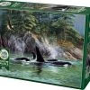 Cobble Hill Puzzel Orcas - 1000 Stukjes 1 Cobble Hill Puzzel Orcas - 1000 Stukjes -Puzzels Verkoop 550x475 5