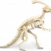 De Bouwplaats Bouwpakket 3D Puzzel Parasaurolophus Dino Dinosaurus Van Hout 2 De Bouwplaats Bouwpakket 3D Puzzel Parasaurolophus Dino Dinosaurus Van Hout -Puzzels Verkoop 550x511 2