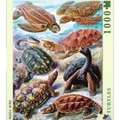 The New York Puzzle Company New York Puzzle Company Turtles - 1000 Pieces -Puzzels Verkoop 550x622