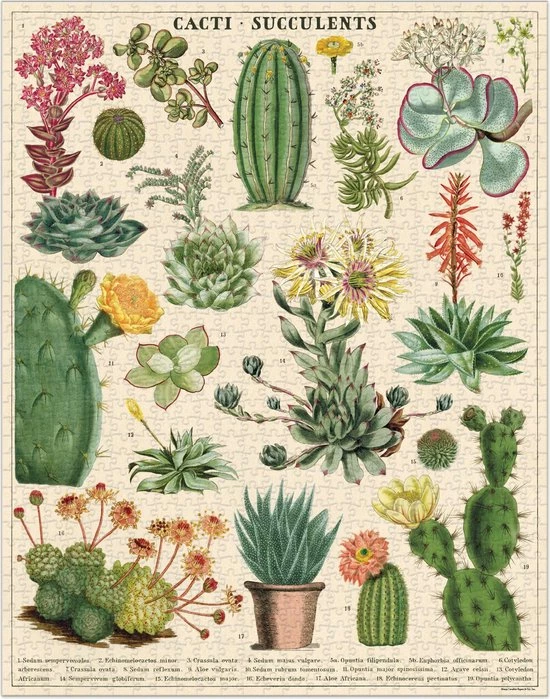 Cavallini & Co Vintage Puzzel - Cacti & Succulents 5 Cavallini & Co Vintage Puzzel - Cacti & Succulents - Afbeelding 3